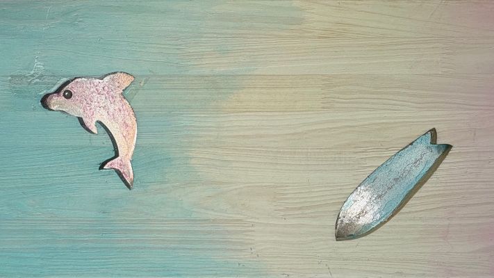 ジャストサイズ収納、カラー